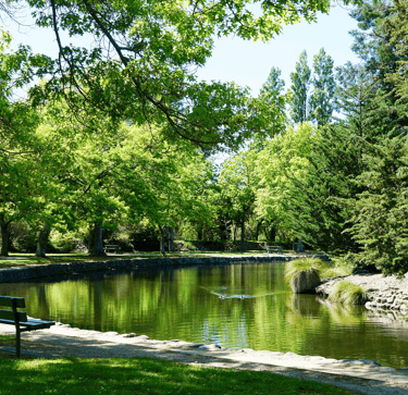 A quiet corner of the Queen Elizabeth Park masterton nz