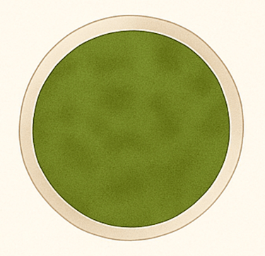 Hepatitis E petri dish illustration