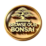 Decorative Medallion used as a button for link to view bonsai trees for sale.