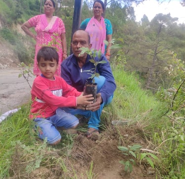 Tree plantation in Uttarakhand