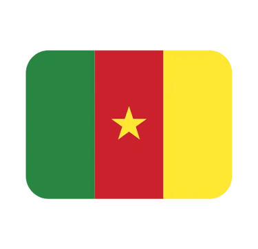 The national flag of Cameroon featuring green, red, and yellow vertical stripes with a central gold star.