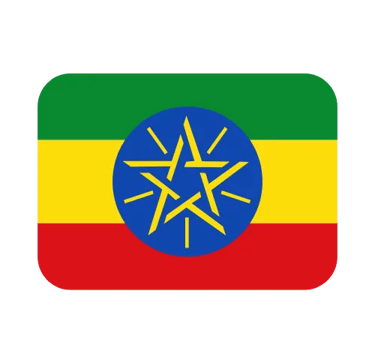 The national flag of Ethiopia featuring green, yellow, and red stripes with a blue circle and yellow star.