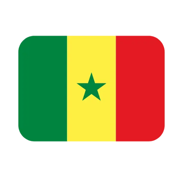The national flag of Senegal featuring green, yellow, and red vertical stripes with a green star.