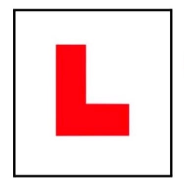 Smile&Drive Female Instructor 