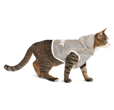 cat wearing marble pet hoodie Tigger