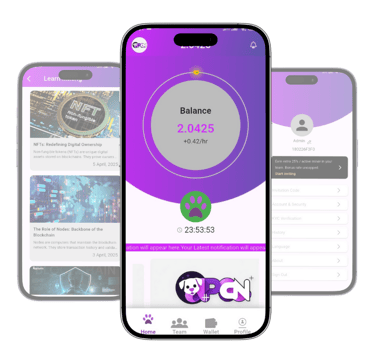 PCN Chain