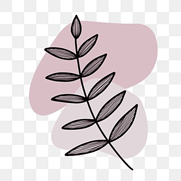 Aesthetic Appeal Icon