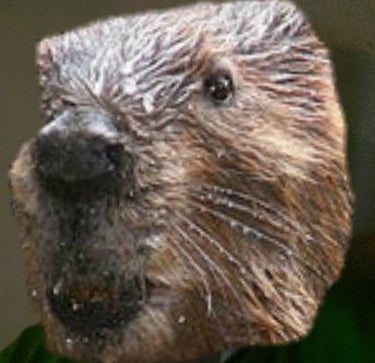 Paúl