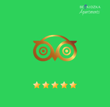 trip advisor review