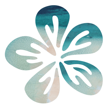 Fleur de frangipanier