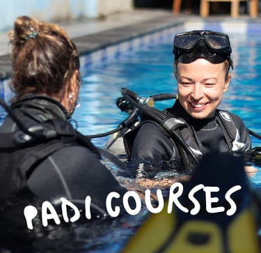 PADI Course at Sandy Beach Dive Academy /sandy beach dive centre