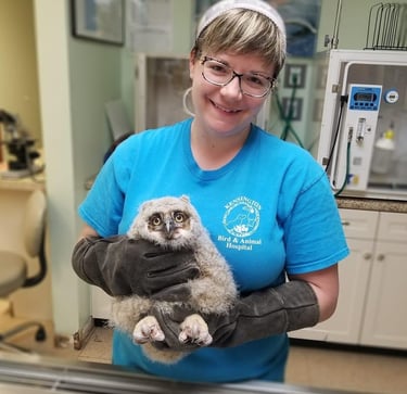 Erica Hayden CEO of 'For the Critters Foods' holds an owl