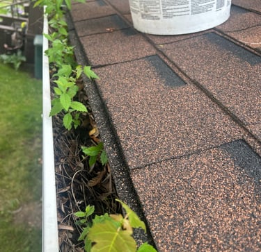 a photo of dirty gutters