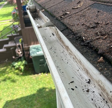 a photo of clean gutters after i cleaned them