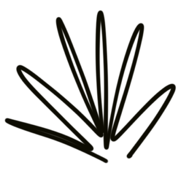 visual illustrating expansive growth