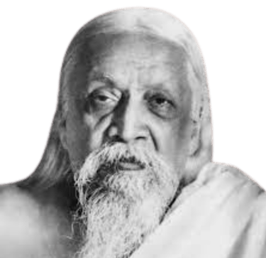 Formação em Yoga 200h reconhecida internacionalmente para quem busca se tornar professor e aprofundar a prática.