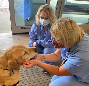 Nurses petting a Therapy Dog