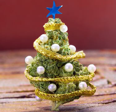 Cannabis Christmas in Malta
