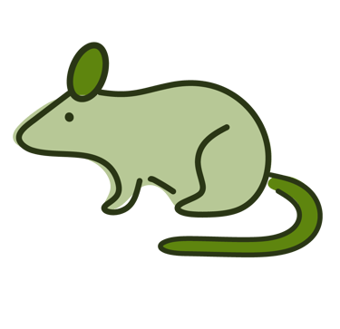 a mouse rat rat rat rat rat rat rat rat rat rat rat rat rat rat