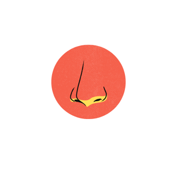 OLOR