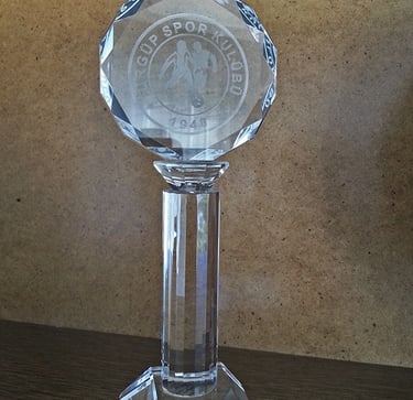 Spor kulübü Bşk. tarafından verilen plaket