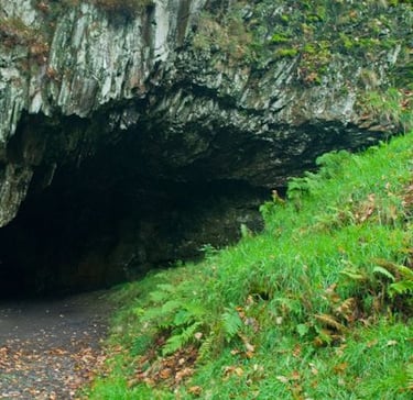 entrance to Dolaucothi Gold Mines in Carmarthenshire