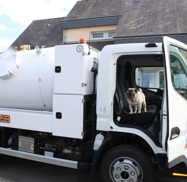 un chien dans un camion hydrocureur