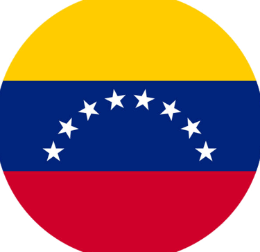 the flag of the country of venezuela