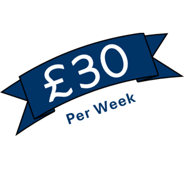 Remotivly Pro Plan for Remote Training Assistant, Teaching Assistant, Remote Travel Assistant