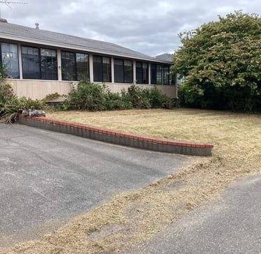trimmed lawn