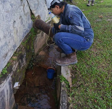 Water quality monitoring