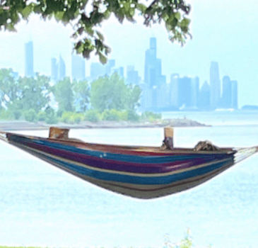 Promontory Point, hammock, book, dog - photo taken by a friend of a member - Link to August 2024 New