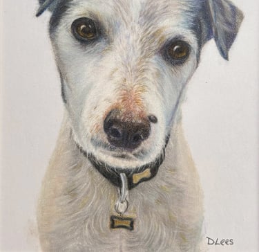 Coloured pancil drawing of a white Terrier dog