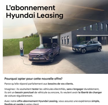Grimal Freelance - Portfolio - Hyundai