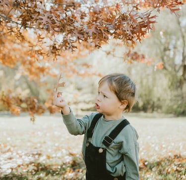toddler playing with autumn leaves in Littlehampton in a candid photo session