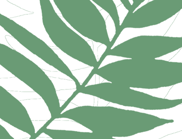 Feuille verte représentant l’eco-responsabilité