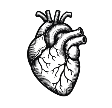 ambiguous loss learning to live with unresolved grief