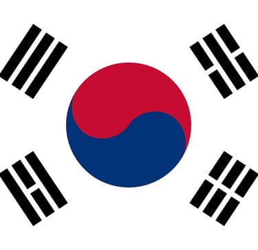 a flag of the south korean flag
