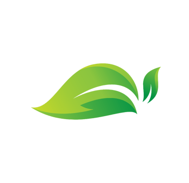 a green leafy plant with a leafy green background