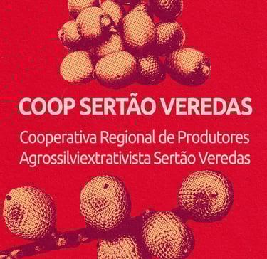 Coop Sertão Veredas - Chapada Gaúcha-MG