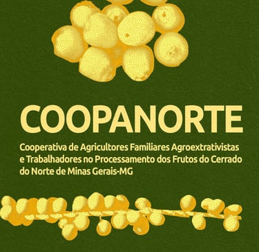 Coopanorte - São Francisco-MG