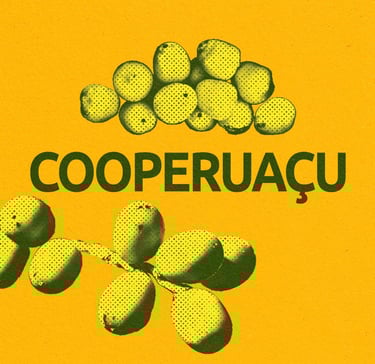 Cooperuaçu - Vale do Peruaçu/Januária-MG