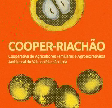 Comunidade de Riacho D’antas/Zona Rural de Montes Claros-MG