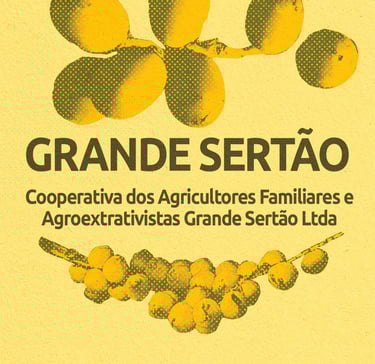 Grande Sertão - Montes Claros-MG