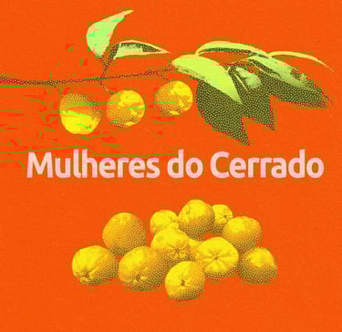 Mulheres do Cerrado - São João da Ponte-MG