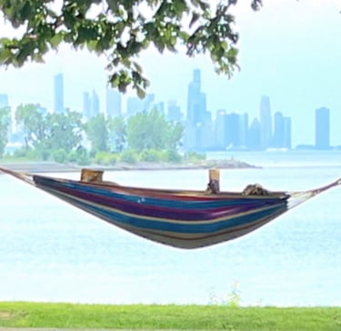 Promontory Point, hammock, book, dog - photo taken by a friend of a member - Link to August 2024 New