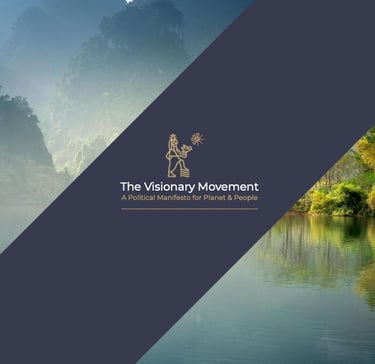 the visionary movement manifesto - front cover