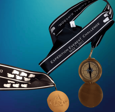 2011 runDisney Expedition Everest Challenge 5K Medal