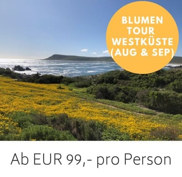 Blumenmeer mit gelben Wildblumen