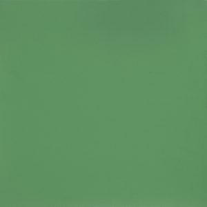 échantillon sol pvc couleur vert